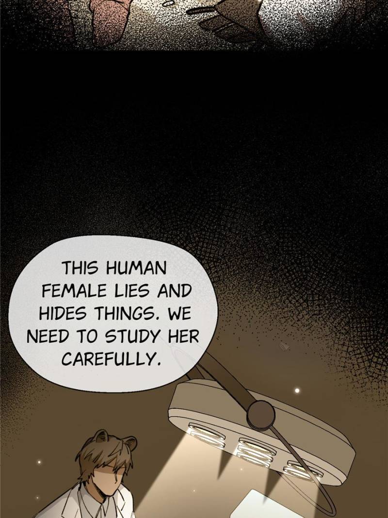 76258321 800 1067 108618